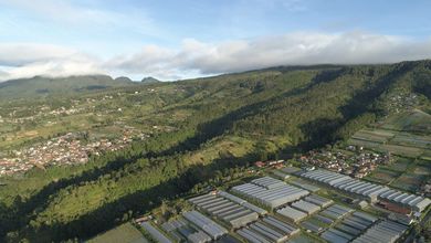 Tanah di Lembang Bandung 10 Hektare, 100.000 M2, Sertifikat SHM Tanah Cocok untuk Resort, Villa Hotel, Glamping