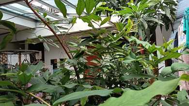 Rumah SHM 200M2 Benhil Jakarta Pusat