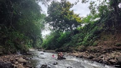 Jual Cepat Villa Seharga Sawah Kosongan Kluar Tol Seroja Bandung