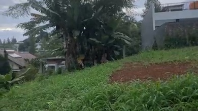 Tanah di Cigadung SHM 300.0 M²
