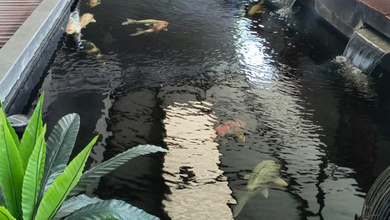 Rumah Jelambar Jakarta Barat Lokasi Strategis Bebas Banjir Nyaman Siap Pakai